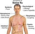swine flu symptoms-klein
